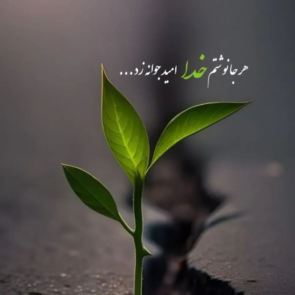 آسیب شناسی رفتار نوجوانان
